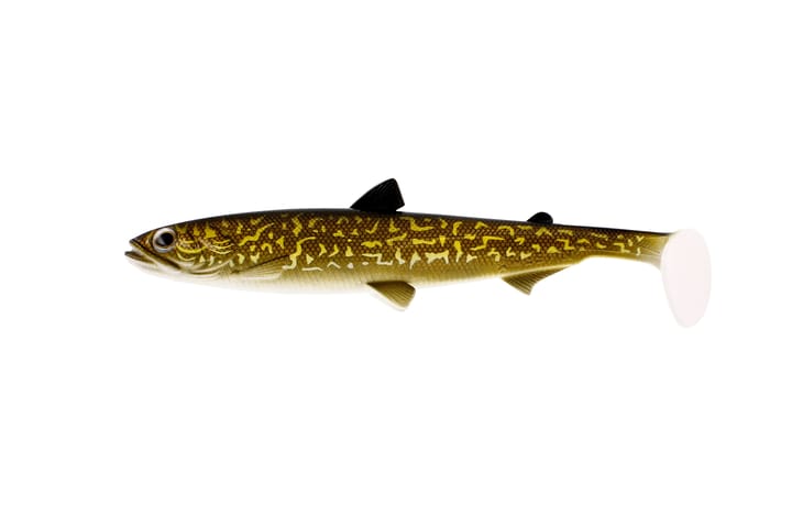 Westin Westin Hypoteez - Natural Pike 15cm Westin Westin Westin Hypoteez - Natural Pike 15cm Westin