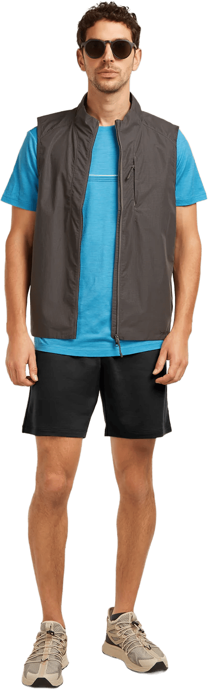 Icebreaker Men's Merino 150 Tech Lite Ss Tee Range Stripes Arctic Icebreaker