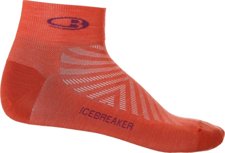 Men's Run+Ultralight Mini VIBRANT EARTH/GO BERRY Icebreaker