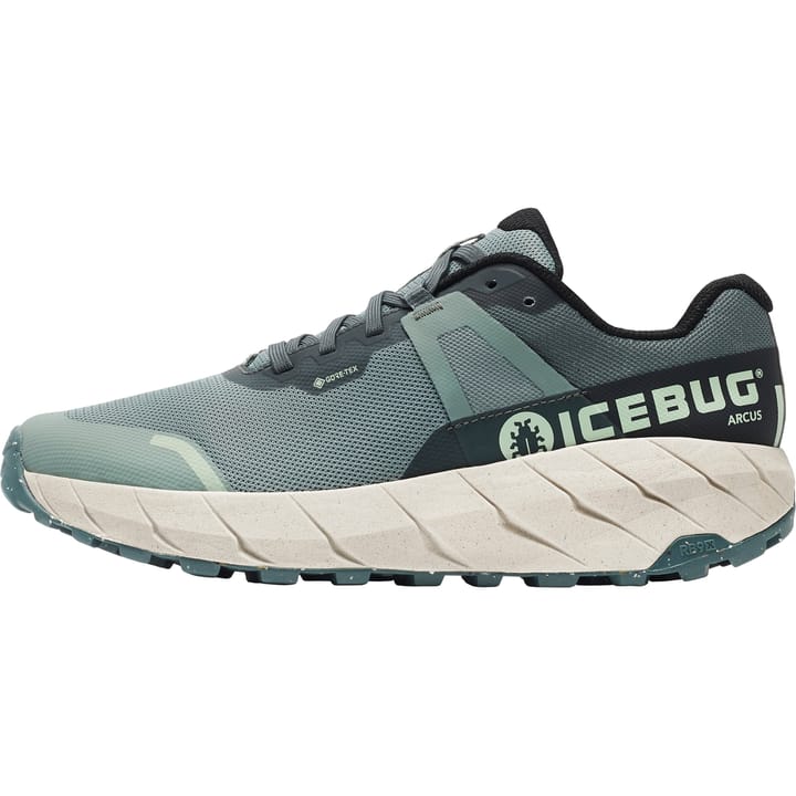 Icebug Men's Arcus RB9X Gore-Tex Green/Stone Icebug