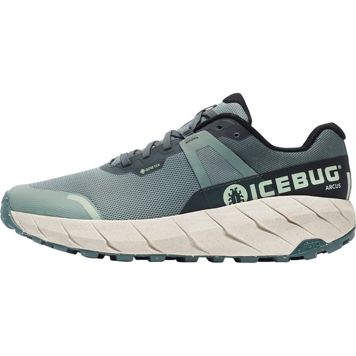 Icebug Women's Arcus RB9X Gore-Tex Green/Stone Icebug