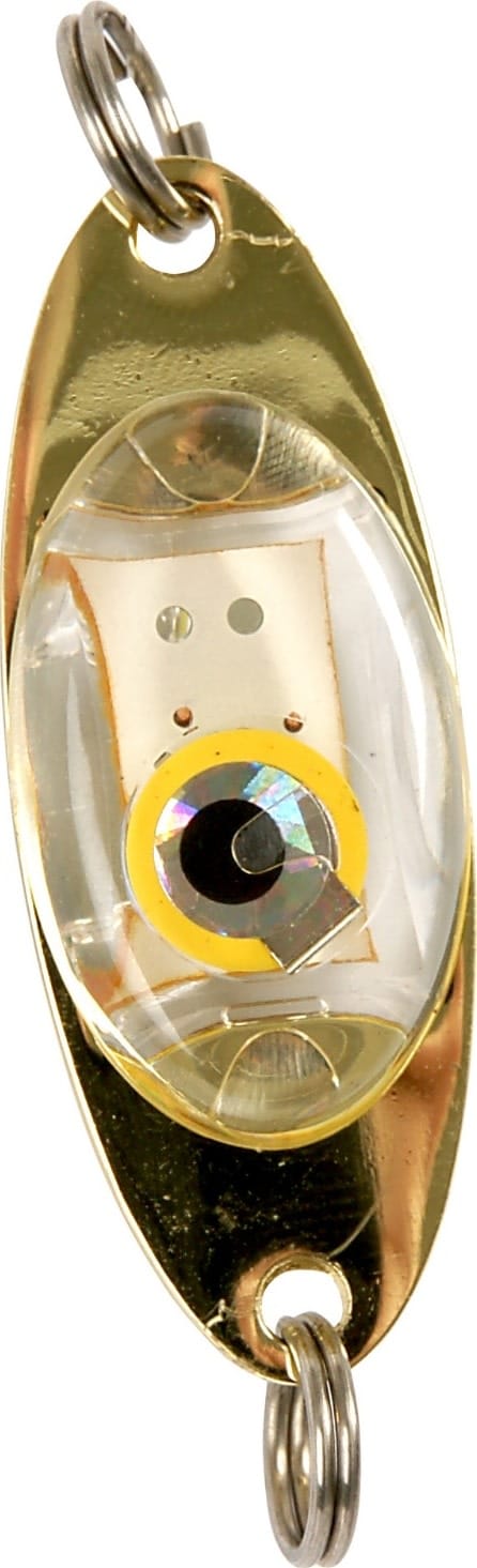 iFish Apollo Green iFish