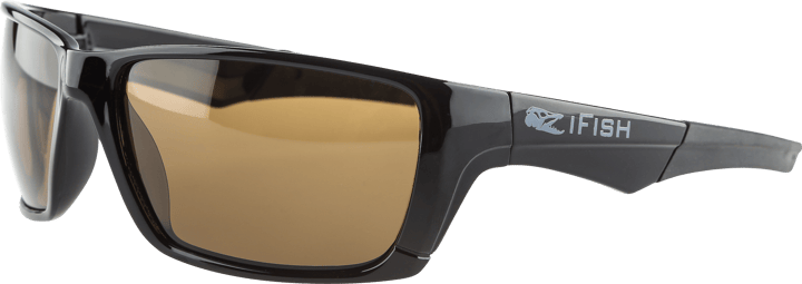 iFish Sunglasses Brown iFish