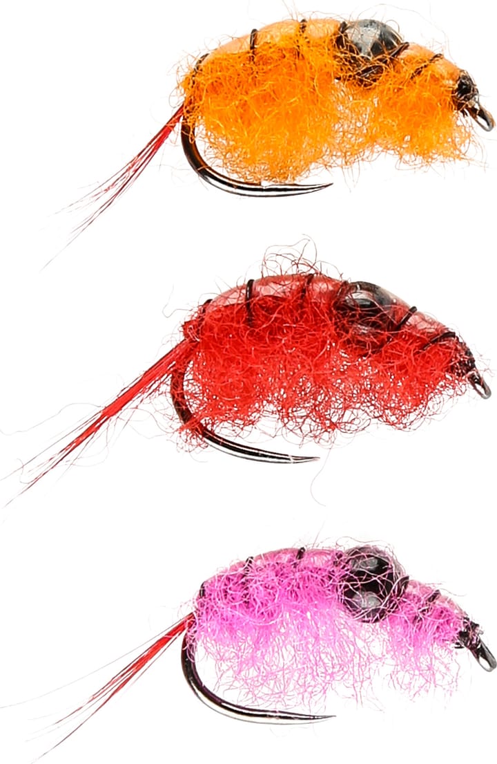 iFish Röding Special Nocolour iFish iFish Röding Special Nocolour iFish