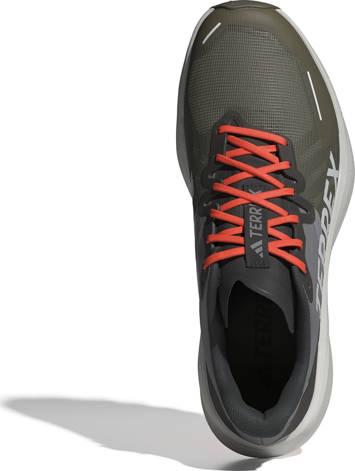 Adidas Men's Terrex Agravic 3 Olistr/Greone/Seimor Adidas