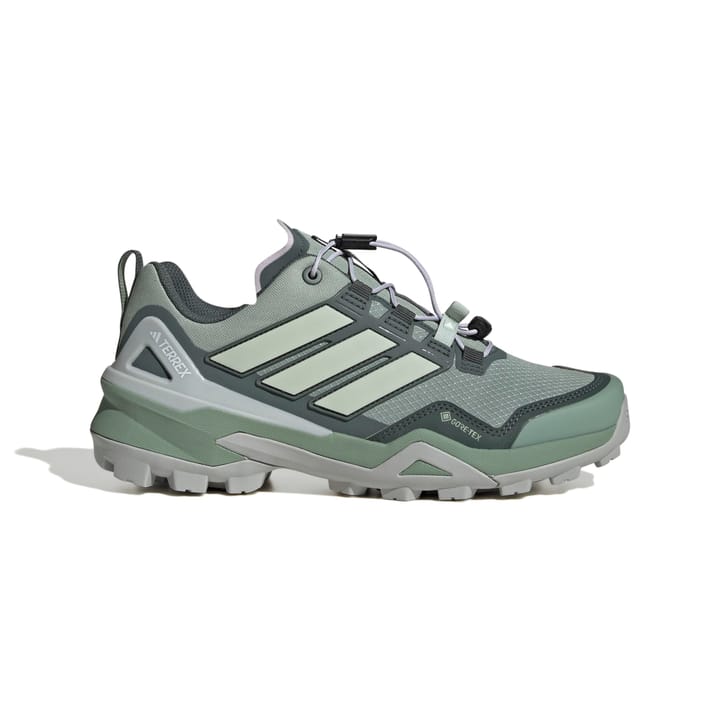 Adidas Terrex Skychaser Gtx W Silgrn/Lingrn/Legivy Silgrn/lingrn/legivy Adidas
