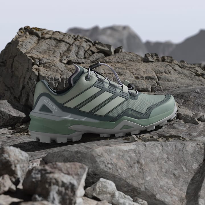 Adidas Terrex Skychaser Gtx W Silgrn/Lingrn/Legivy Silgrn/lingrn/legivy Adidas