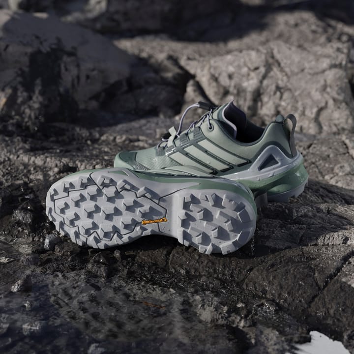 Adidas Terrex Skychaser Gtx W Silgrn/Lingrn/Legivy Silgrn/lingrn/legivy Adidas