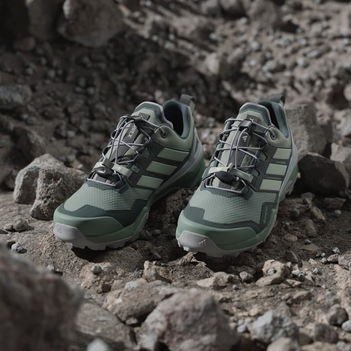 Adidas Terrex Skychaser Gtx W Silgrn/Lingrn/Legivy Silgrn/lingrn/legivy Adidas