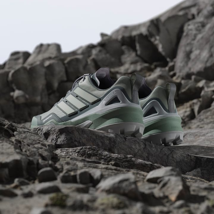 Adidas Terrex Skychaser Gtx W Silgrn/Lingrn/Legivy Silgrn/lingrn/legivy Adidas