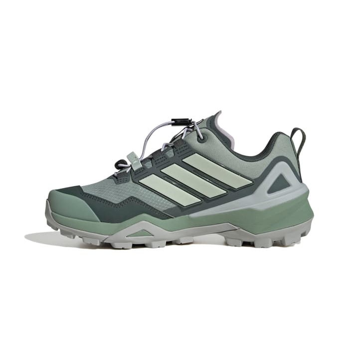 Adidas Terrex Skychaser Gtx W Silgrn/Lingrn/Legivy Silgrn/lingrn/legivy Adidas