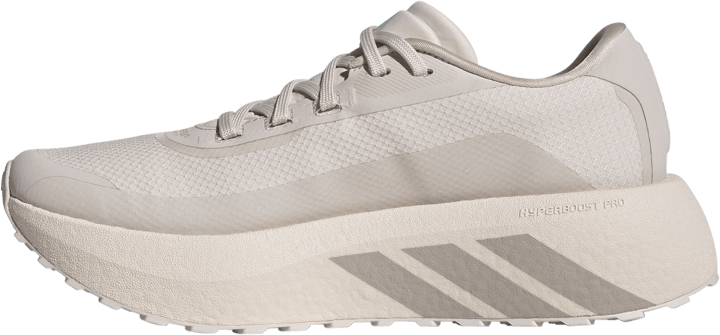 Adidas Women´s Hyperboost GORE-TEX  Putmau/vapgre/flaaqu Adidas