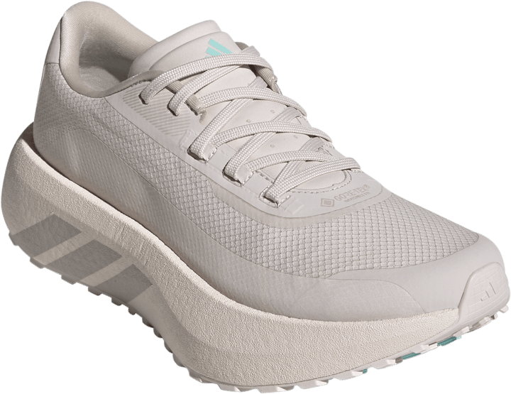 Adidas Women´s Hyperboost GORE-TEX  Putmau/vapgre/flaaqu Adidas