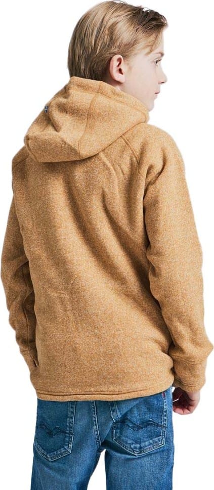 Isbjörn of Sweden Teen Shaun Hoodie Lion Isbjörn of Sweden