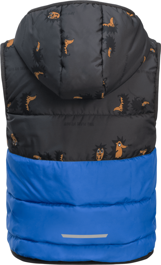 Kids' Gleely Insulated Hooded Vest Nordic Sky Jack Wolfskin