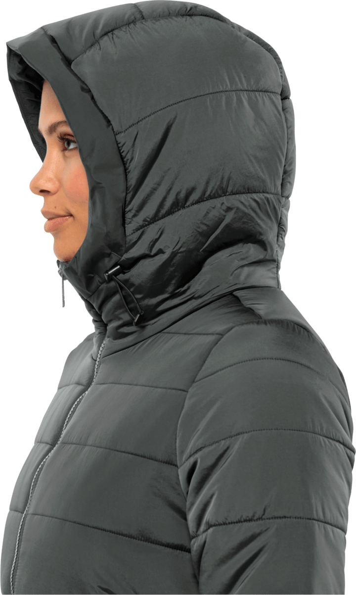 Jack Wolfskin Women's Eisbach Coat Slate Green Jack Wolfskin
