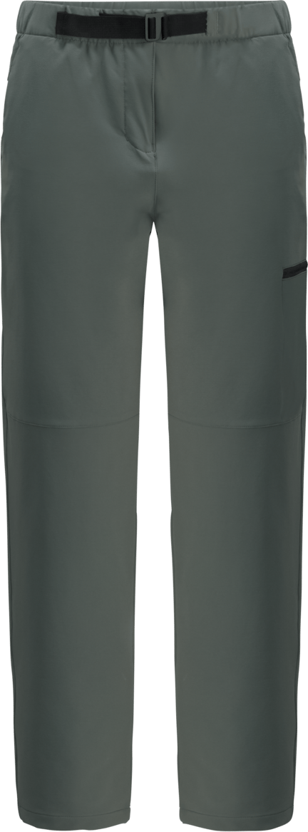 Women's Wandermood Pants Slate Green Jack Wolfskin