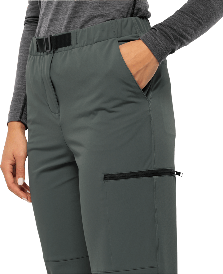 Women's Wandermood Pants Slate Green Jack Wolfskin