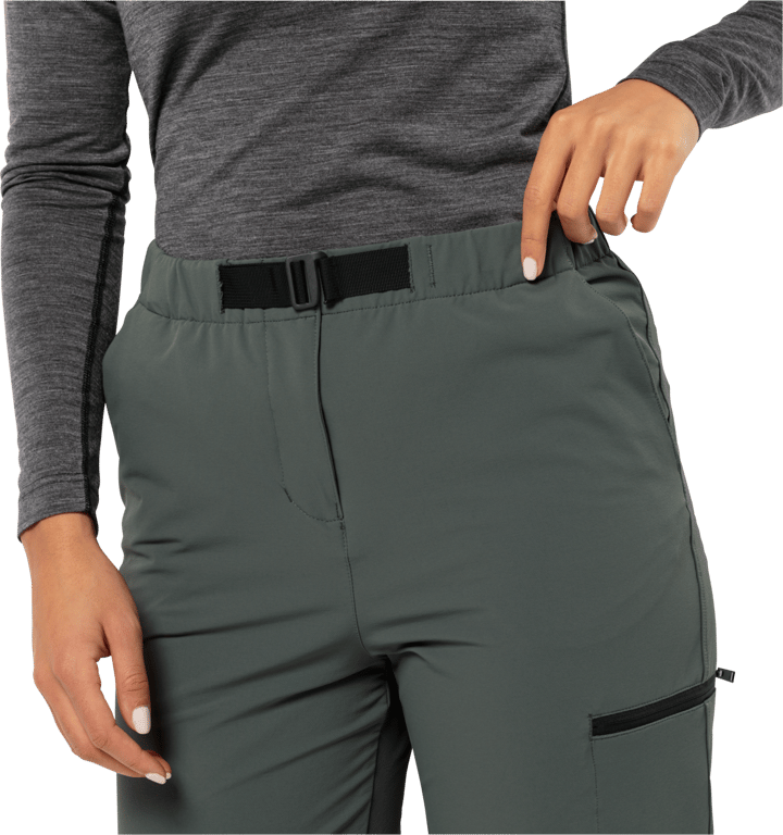 Women's Wandermood Pants Slate Green Jack Wolfskin