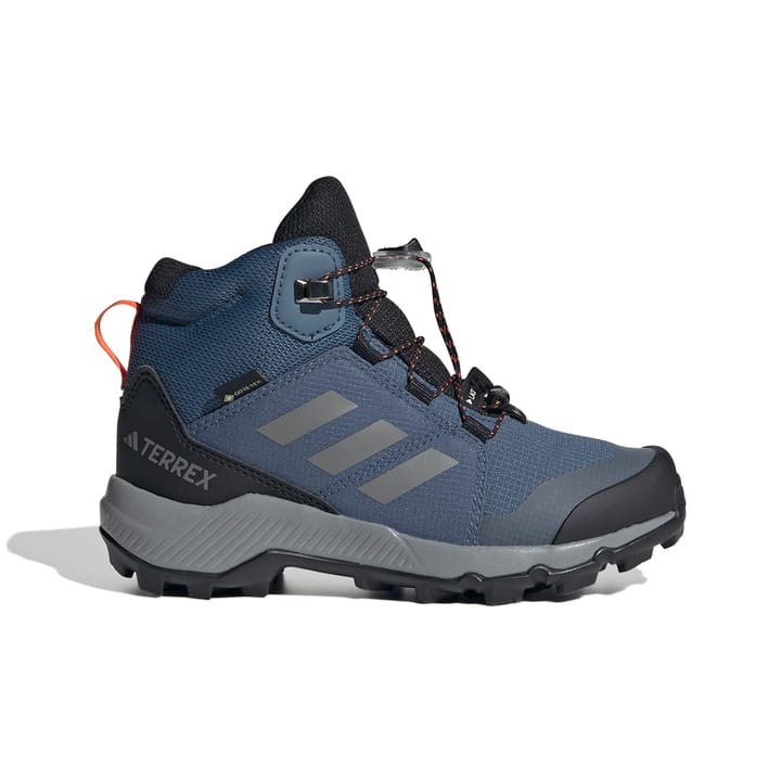 Adidas Terrex Mid Gtx K Blupnk/owhite/chabrn Adidas