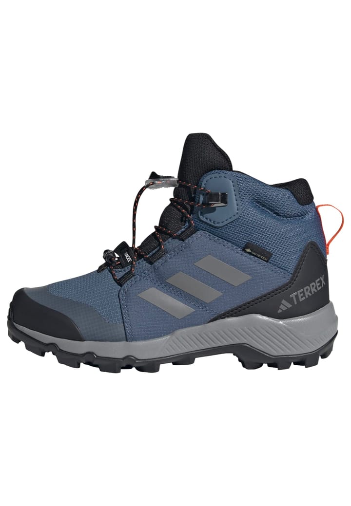 Adidas Terrex Mid Gtx K Blupnk/owhite/chabrn Adidas