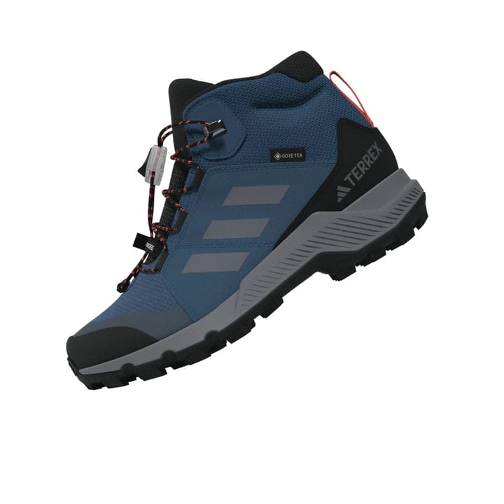 Adidas Terrex Mid Gtx K Blupnk/owhite/chabrn Adidas