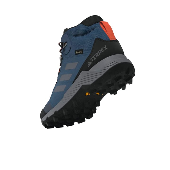Adidas Terrex Mid Gtx K Blupnk/owhite/chabrn Adidas