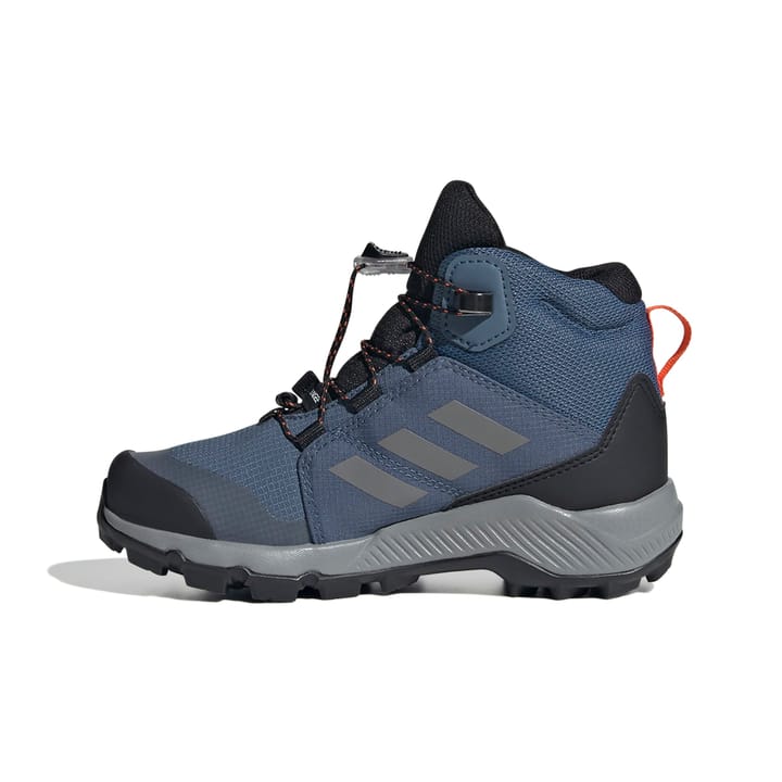 Adidas Terrex Mid Gtx K Blupnk/owhite/chabrn Adidas