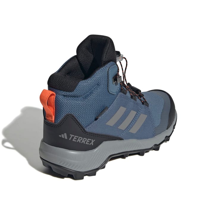 Adidas Terrex Mid Gtx K Blupnk/owhite/chabrn Adidas