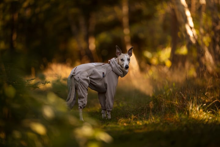 Non-stop Dogwear Trail Quest Fleece Overall - Small Sizes Sand Non-stop Dogwear Non-stop Dogwear Trail Quest Fleece Overall - Small Sizes Sand Non-stop Dogwear
