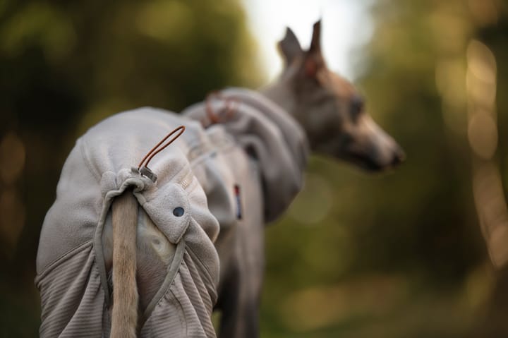 Non-stop Dogwear Trail Quest Fleece Overall Sand Non-stop Dogwear Non-stop Dogwear Trail Quest Fleece Overall Sand Non-stop Dogwear