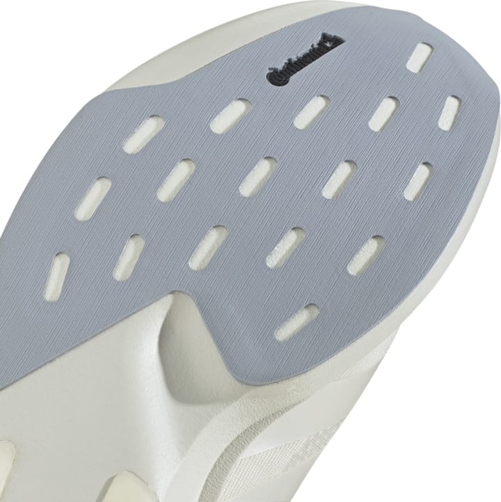 Adidas Men's Adizero Evo SL Orbgry/zeromt/halsil Adidas Adidas Men's Adizero Evo SL Orbgry/zeromt/halsil Adidas