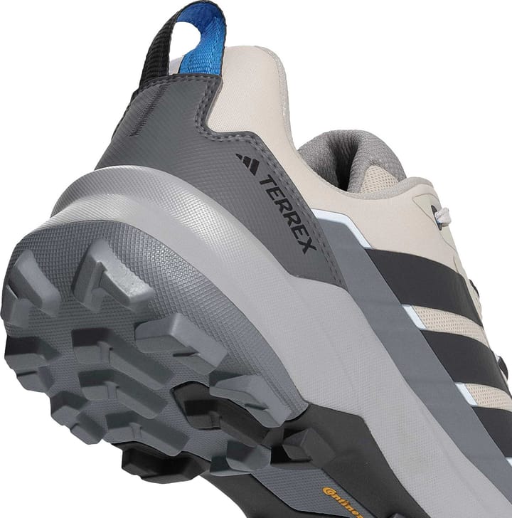 Adidas Men's Terrex Skychaser Ax5 Wonder alumina/Carbon/Grey four Adidas