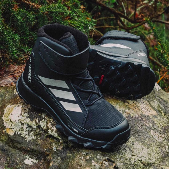 Adidas Kid's Terrex Snow Cw Pretea/msilve/cblack Adidas Adidas Kid's Terrex Snow Cw Pretea/msilve/cblack Adidas