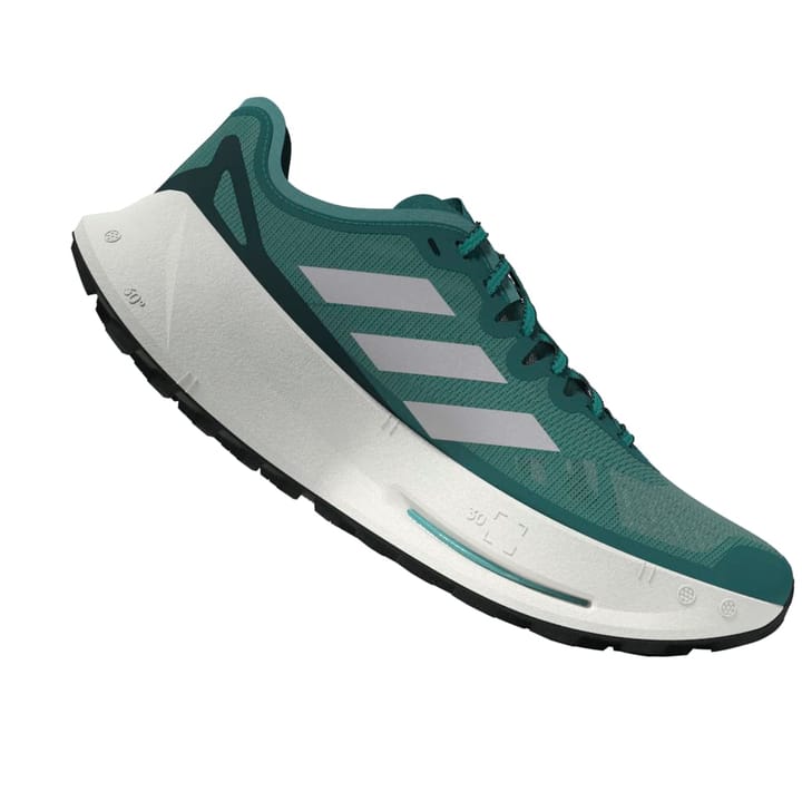 Adidas Men's Terrex Agravic Speed Ultra Purtea/greone/aurivy Adidas