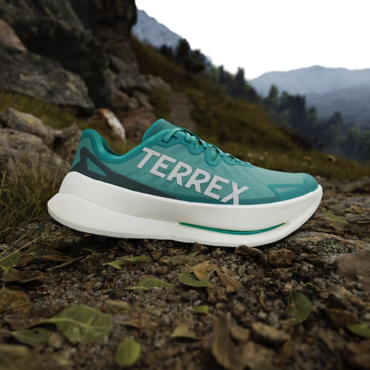 Adidas Men's Terrex Agravic Speed Ultra Purtea/greone/aurivy Adidas Adidas Men's Terrex Agravic Speed Ultra Purtea/greone/aurivy Adidas