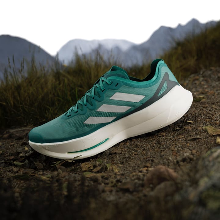 Adidas Men's Terrex Agravic Speed Ultra Purtea/greone/aurivy Adidas