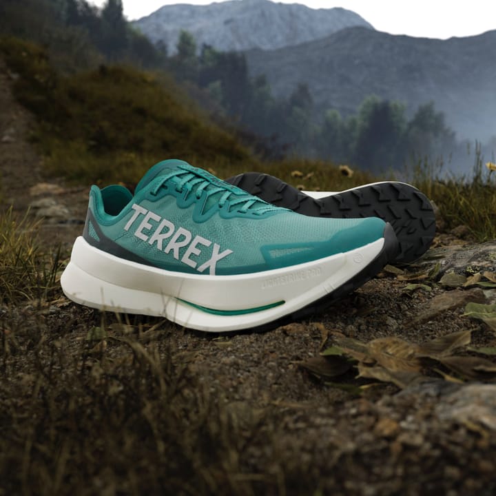 Adidas Men's Terrex Agravic Speed Ultra Purtea/greone/aurivy Adidas Adidas Men's Terrex Agravic Speed Ultra Purtea/greone/aurivy Adidas