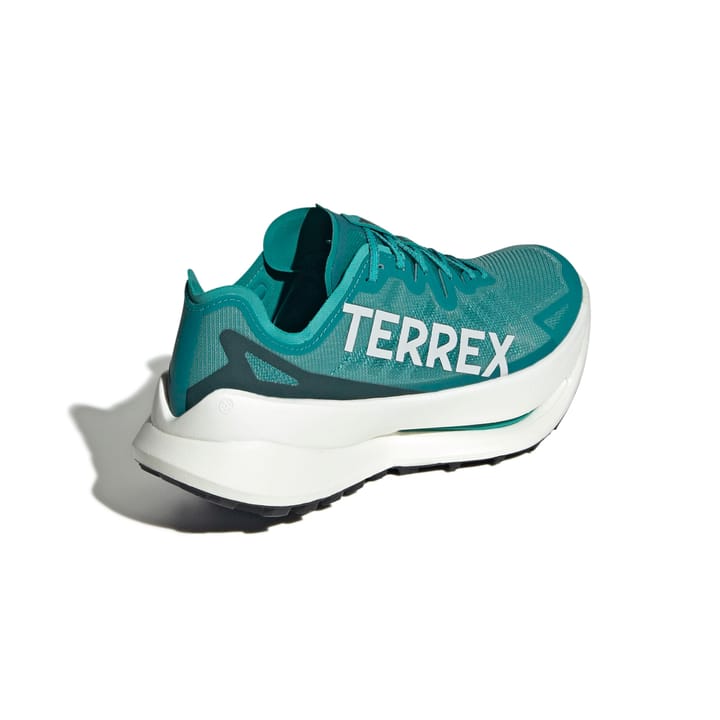 Adidas Men's Terrex Agravic Speed Ultra Purtea/greone/aurivy Adidas