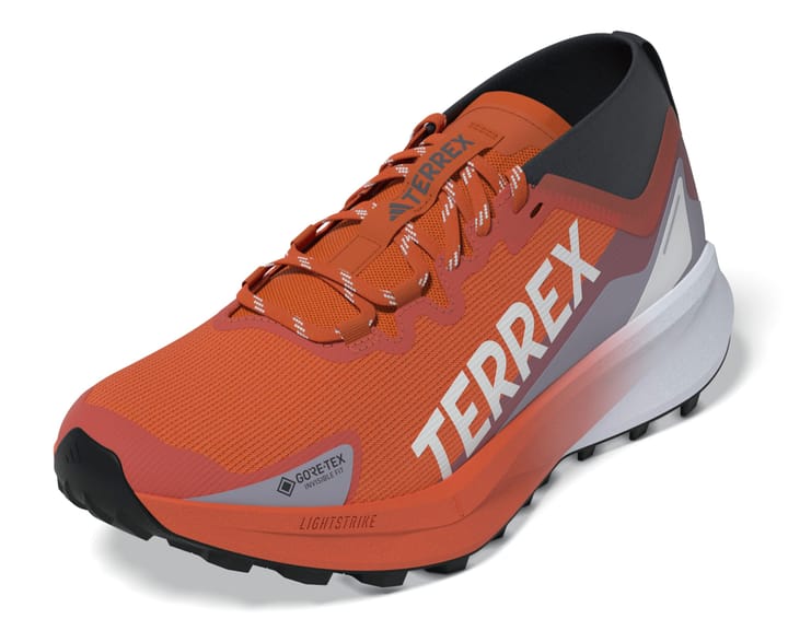Adidas Terrex Agravic Gtx Seimor/ftwwht/carbon Adidas Adidas Terrex Agravic Gtx Seimor/ftwwht/carbon Adidas