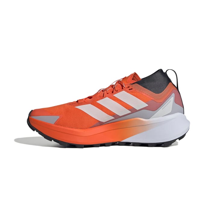 Adidas Terrex Agravic Gtx Seimor/ftwwht/carbon Adidas Adidas Terrex Agravic Gtx Seimor/ftwwht/carbon Adidas