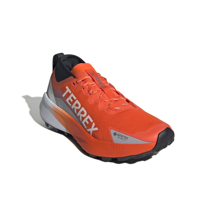 Adidas Terrex Agravic Gtx Seimor/ftwwht/carbon Adidas Adidas Terrex Agravic Gtx Seimor/ftwwht/carbon Adidas
