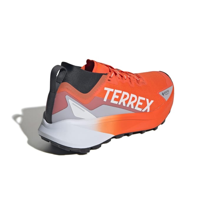Adidas Terrex Agravic Gtx Seimor/ftwwht/carbon Adidas Adidas Terrex Agravic Gtx Seimor/ftwwht/carbon Adidas