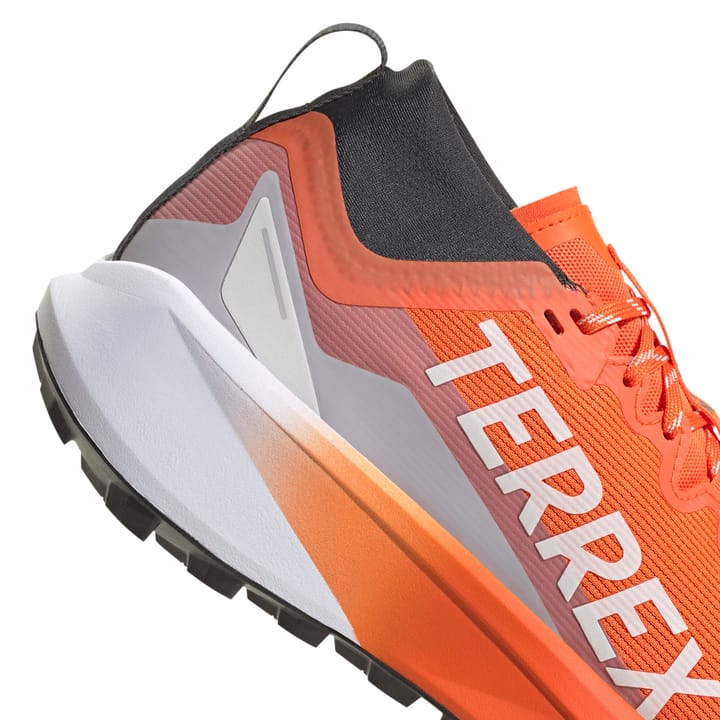Adidas Terrex Agravic Gtx Seimor/ftwwht/carbon Adidas Adidas Terrex Agravic Gtx Seimor/ftwwht/carbon Adidas