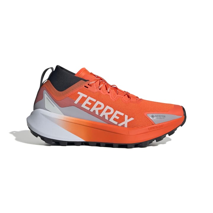 Adidas Terrex Agravic Gtx W Seimor/ftwwht/carbon Adidas