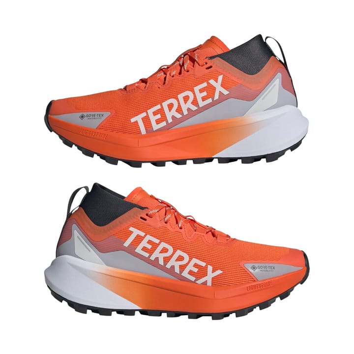 Adidas Terrex Agravic Gtx W Seimor/ftwwht/carbon Adidas Adidas Terrex Agravic Gtx W Seimor/ftwwht/carbon Adidas