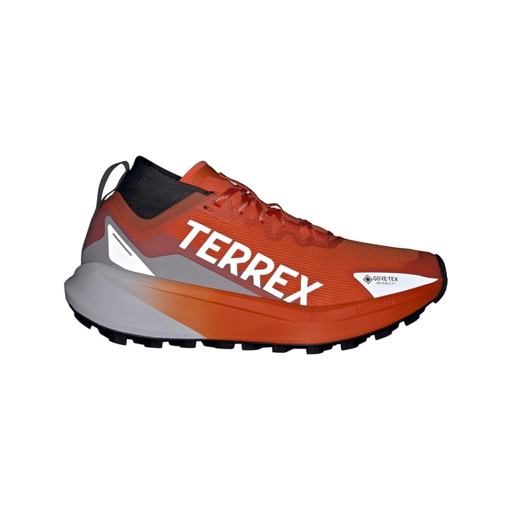 Adidas Terrex Agravic Gtx W Seimor/ftwwht/carbon Adidas Adidas Terrex Agravic Gtx W Seimor/ftwwht/carbon Adidas