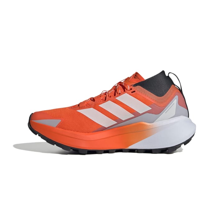 Adidas Terrex Agravic Gtx W Seimor/ftwwht/carbon Adidas Adidas Terrex Agravic Gtx W Seimor/ftwwht/carbon Adidas