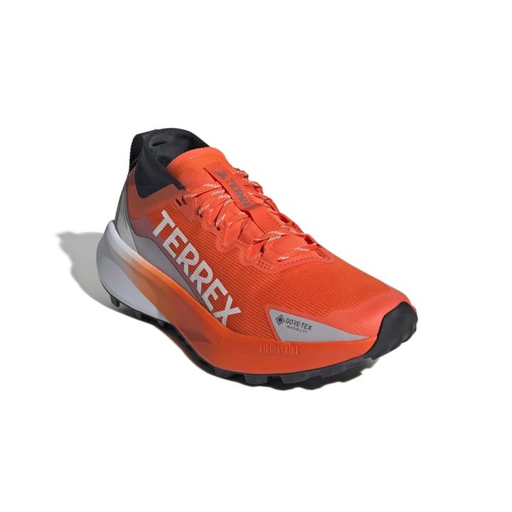 Adidas Terrex Agravic Gtx W Seimor/ftwwht/carbon Adidas Adidas Terrex Agravic Gtx W Seimor/ftwwht/carbon Adidas