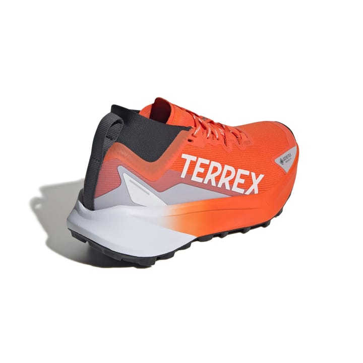 Adidas Terrex Agravic Gtx W Seimor/ftwwht/carbon Adidas Adidas Terrex Agravic Gtx W Seimor/ftwwht/carbon Adidas